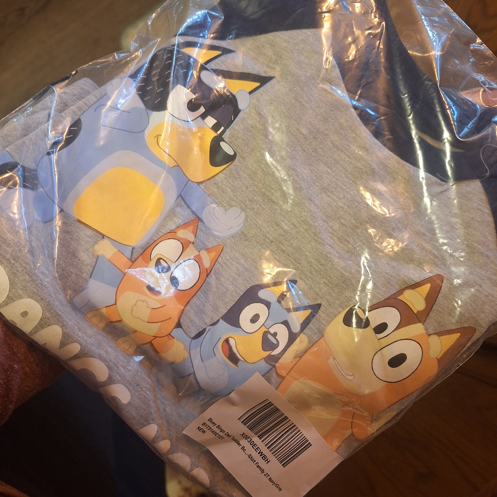 Bluey Kids Long Sleeve Shirt - Gray